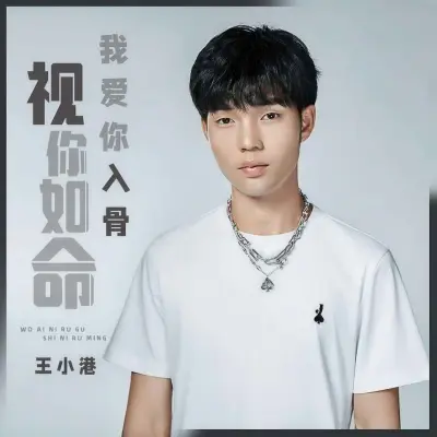 我爱你入骨视你如命 (DJ默涵版)封面