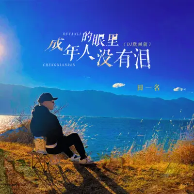 成年人的眼里没有泪 (DJ默涵版)封面