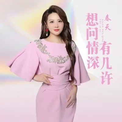 想问情深有几许封面