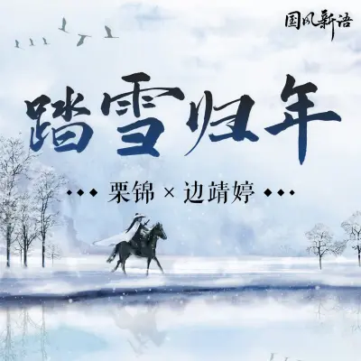 踏雪归年封面