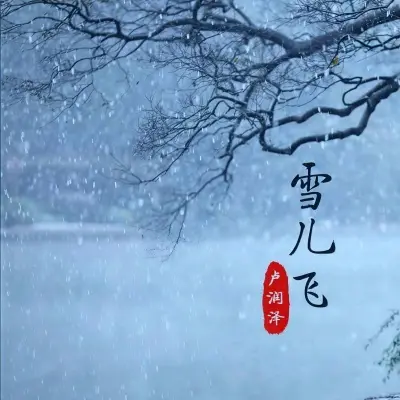 雪儿飞封面
