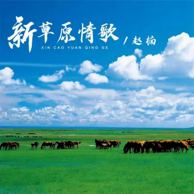新草原情歌 (DJ默涵版) - 赵楠封面