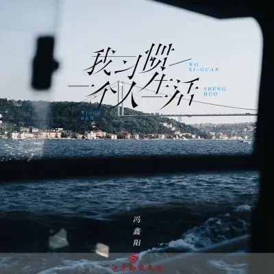 我习惯一个人生活 (完整版) - 冯鑫阳封面