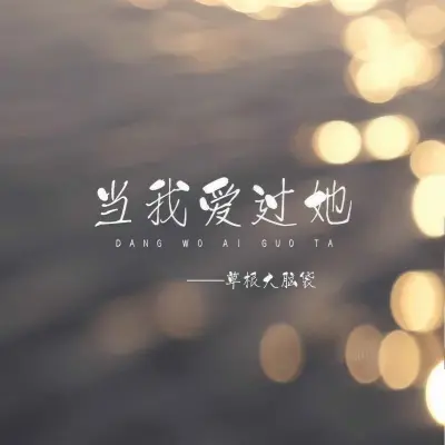 当我爱过她 (DJ默涵版)封面