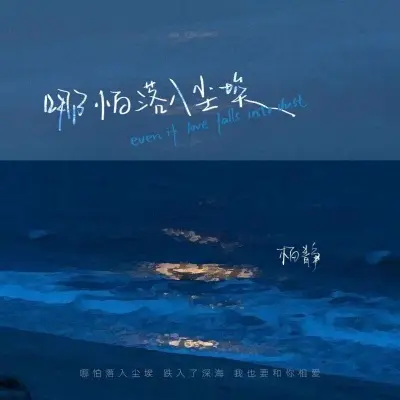 哪怕落入尘埃封面