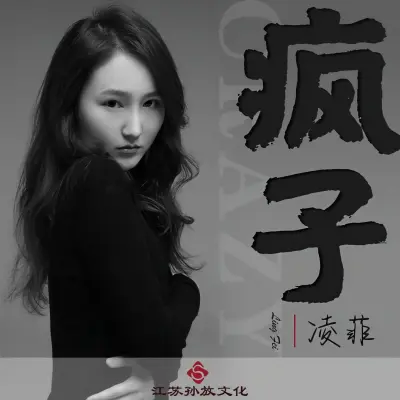 疯子封面