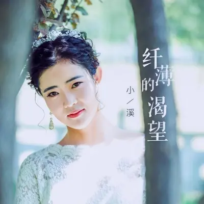 纤薄的渴望封面