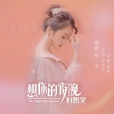 想你的夜晚好想哭 (DJ默涵版)封面