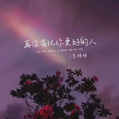 再没有比你更好的人封面