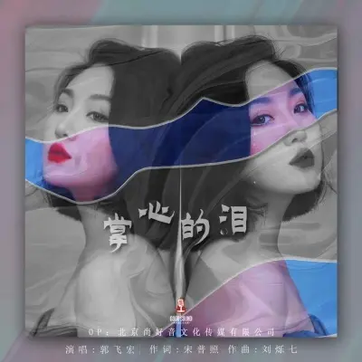 掌心的泪封面