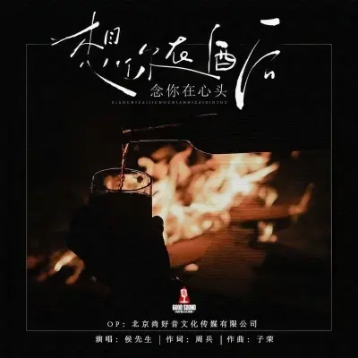 想你在酒后念你在心头 (DJ阿远版)封面