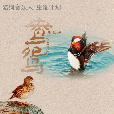 鸳鸯 (DJ默涵版)封面