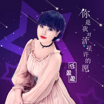 你是我对流星许的愿封面