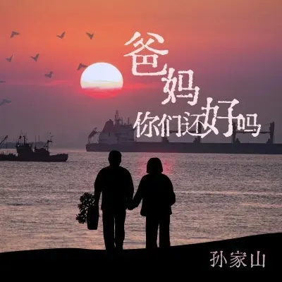 爸妈你们还好吗 (完整版)封面