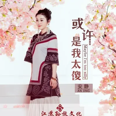 或许是我太傻封面