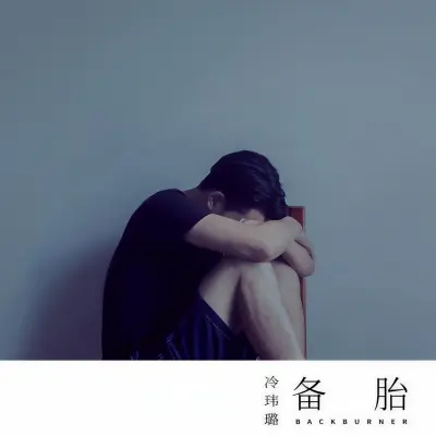 备胎封面