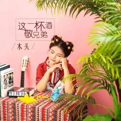 这一杯酒敬兄弟封面