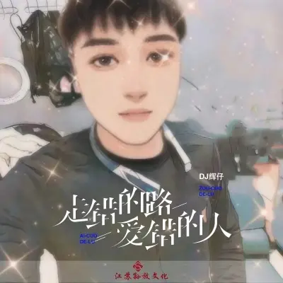 走错的路爱错的人 (Live合唱版) - Dj辉仔封面