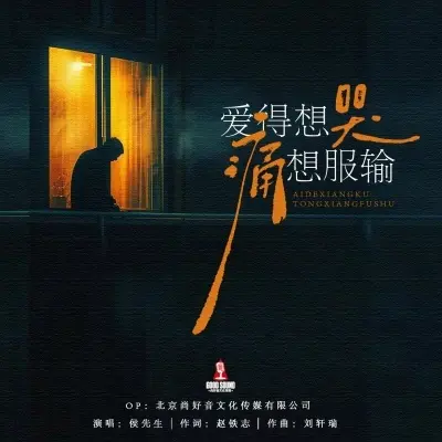 爱得想哭痛想服输封面