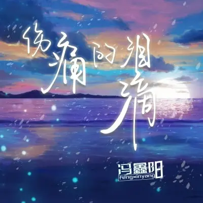 伤痛的泪滴 (DJ版)封面