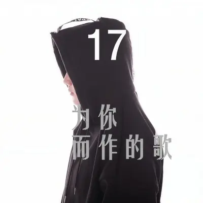 为你而作的歌 - 17封面