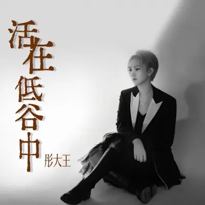 活在低谷中 (DJ版)封面