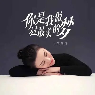 你是我做过最美的梦 (DJ默涵版)封面