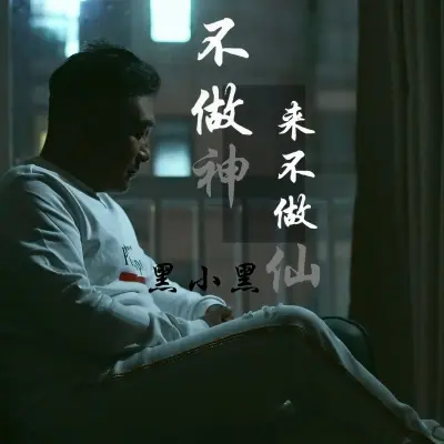 不做神来不做仙 (DJ小鹏版)封面