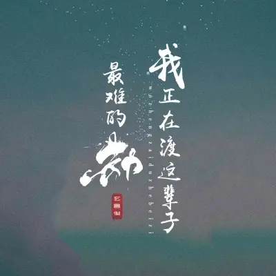 我正在渡这辈子最难的劫 (DJ弹鼓版)封面
