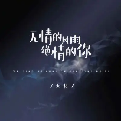 无情的风雨绝情的你 (DJ默涵版)封面