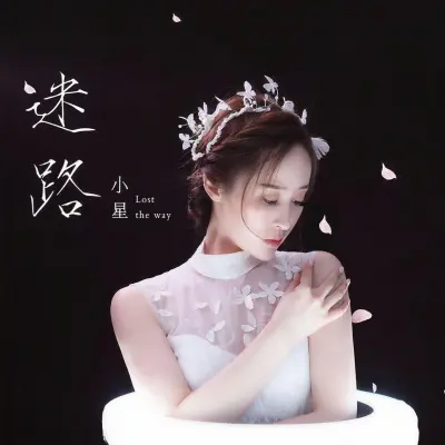 迷路封面