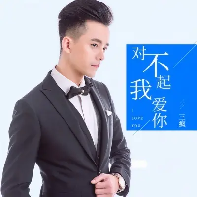 对不起我爱你封面