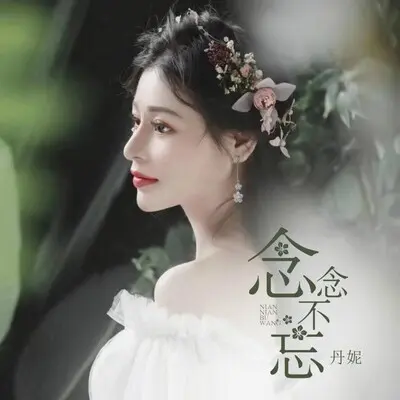 念念不忘封面