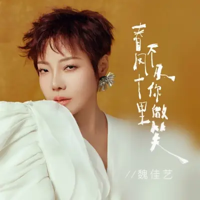 春风十里不及你微笑封面