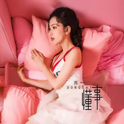 懂事 - 苏一封面