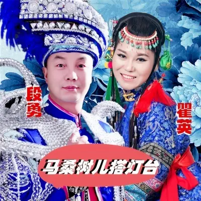 马桑树儿搭灯台 - 鸿雁 / 段勇封面