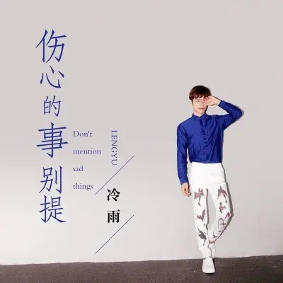 伤心的事别提封面