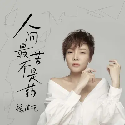 人间最苦不是药封面