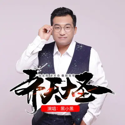 齐天大圣 - 黑小黑封面