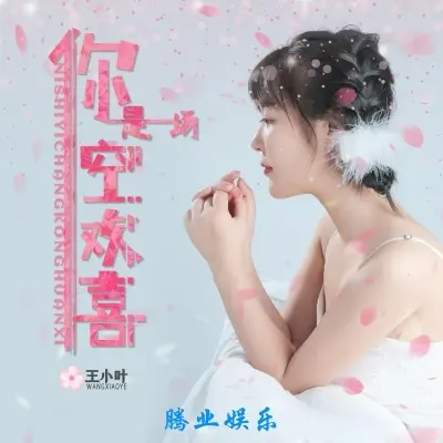 你是一场空欢喜 (完整版)封面