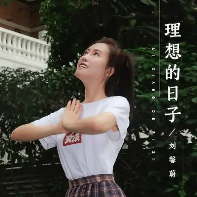 理想的日子封面