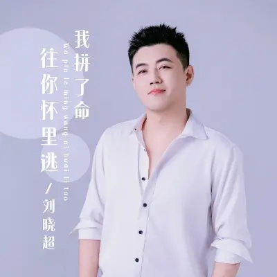 我拼了命往你怀里逃封面