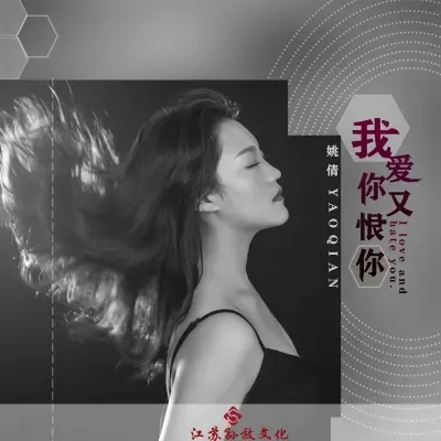我爱你又恨你 (女声DJ版)封面