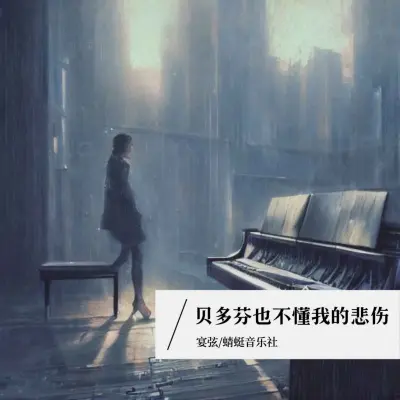 贝多芬也不懂我的悲伤 (DJ默涵版)封面