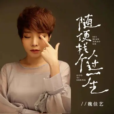随便找个人过一生封面