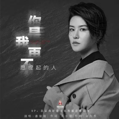 你是我再不愿提起的人封面