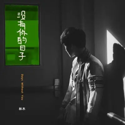 没有你的日子 (男版)封面