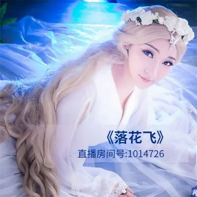 落花飞封面