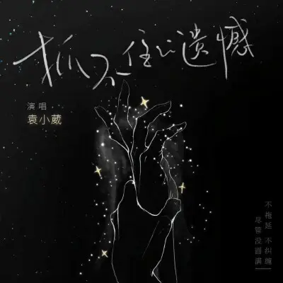抓不住的遗憾 - 袁小葳封面
