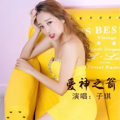 爱神之箭封面